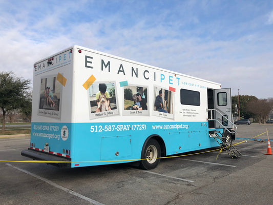 How Emancipet Makes Veterinary Care Affordable for All