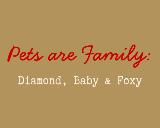 Pets are Family: Diamond, Baby and Foxy