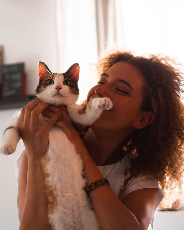 Best Gifts for Cat Lovers