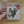 Hand holding a Cat Wrangler Rodeo sticker